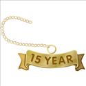 Picture of Fifteen Year 14K Yellow Pin Guard