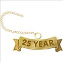 Picture of Twenty Five Year Gold-Plated Pin Guard 