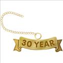 Picture of Thirty Year 14K Yellow Pin Guard 